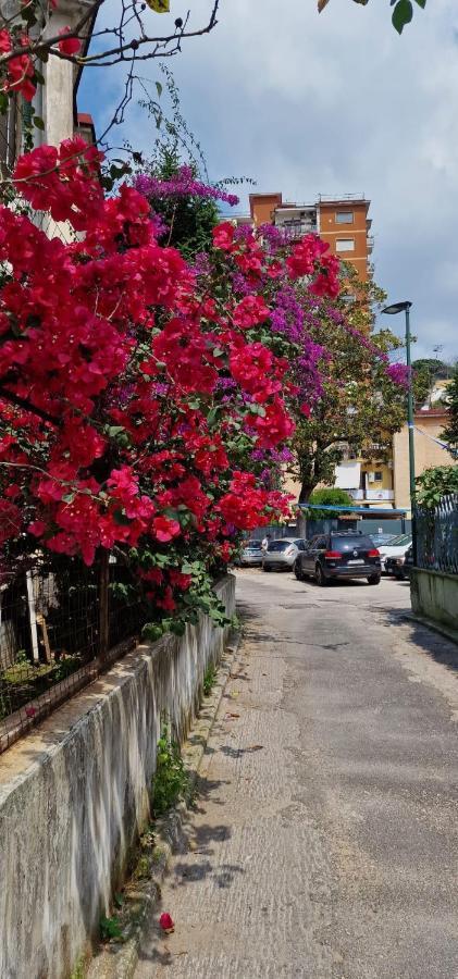 B&B Ciruzzo Napoli Bagian luar foto